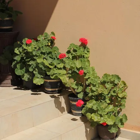 With Parking Space Tribunj, Vodice - 6223 Apartamento Tribalj