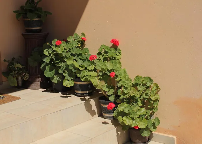 With Parking Space Tribunj - Vodice - 6223 Apartmán Tribalj